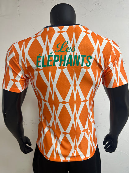 Ivory Coast Home 2023