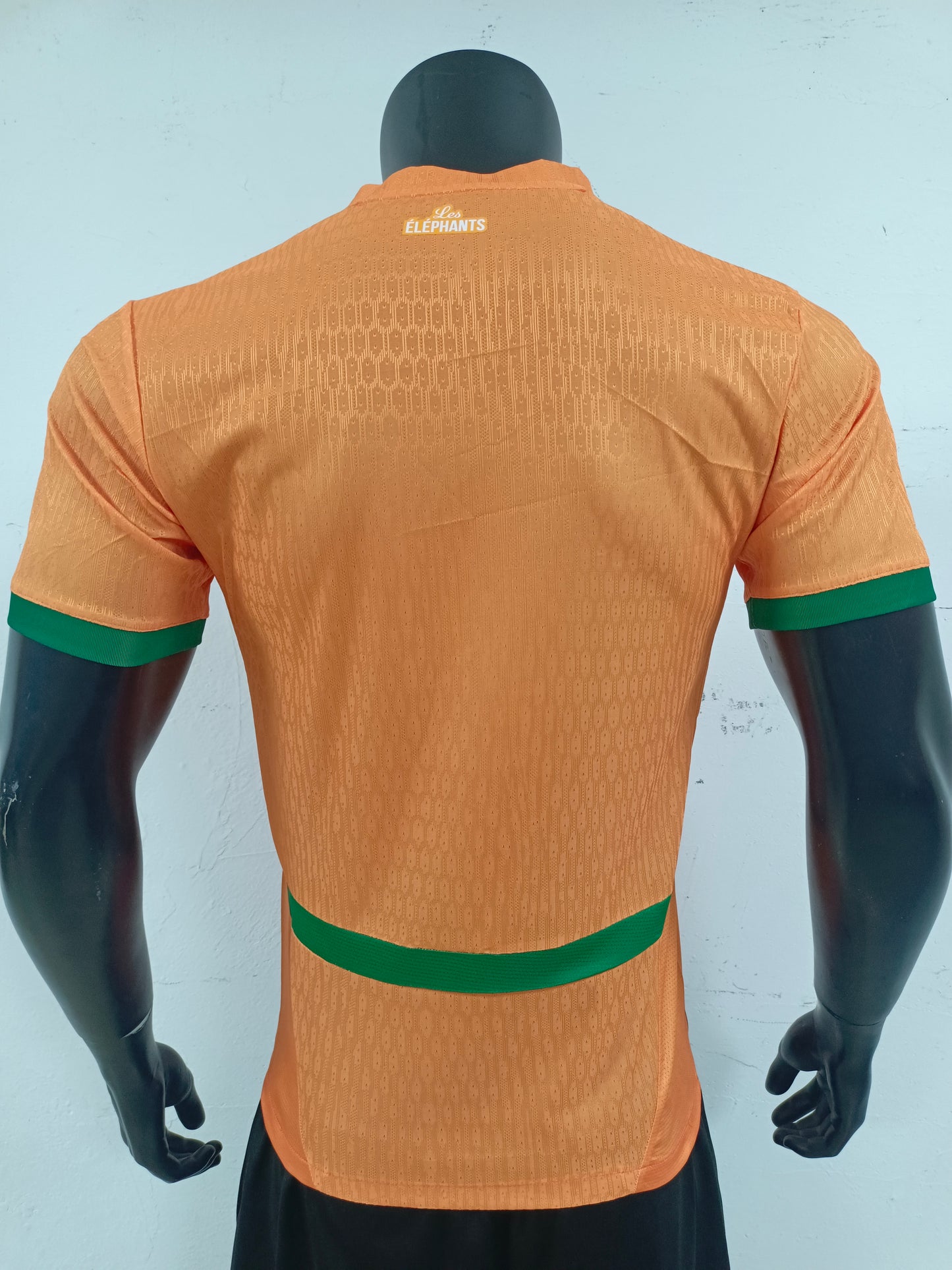 Ivory Coast Home 2024