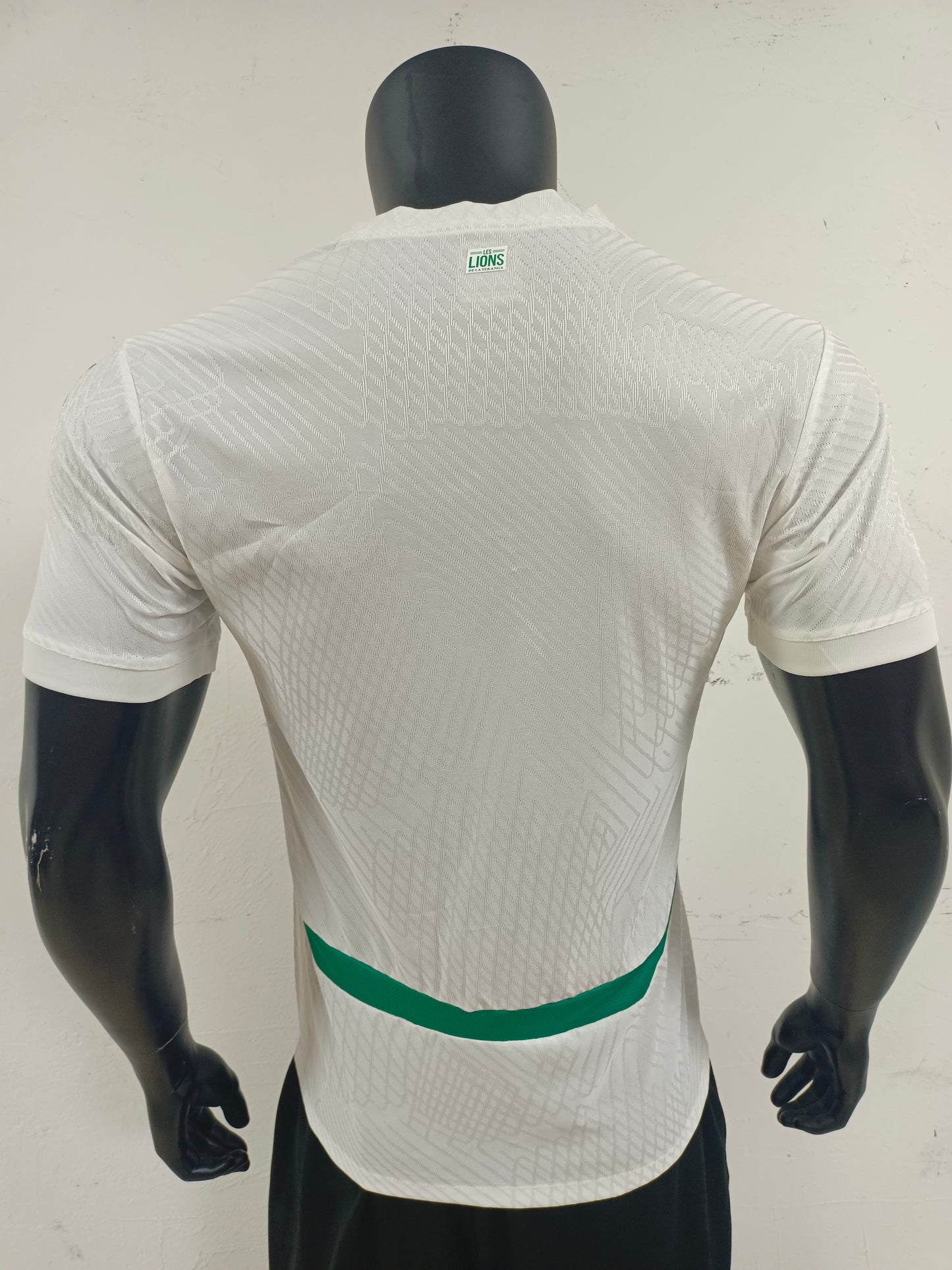 Senegal Home 2025