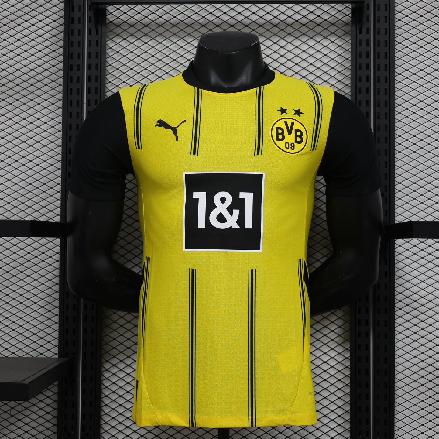 Dortmund Home 24/25