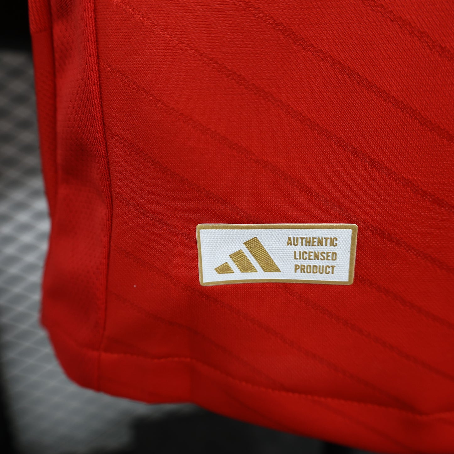 Benfica Home 24/25