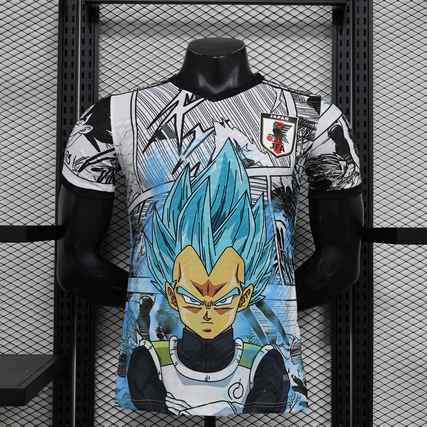 Japan x Dragon Ball Z 2024